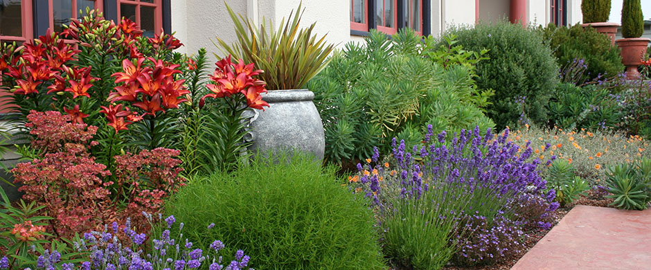 xeriscape