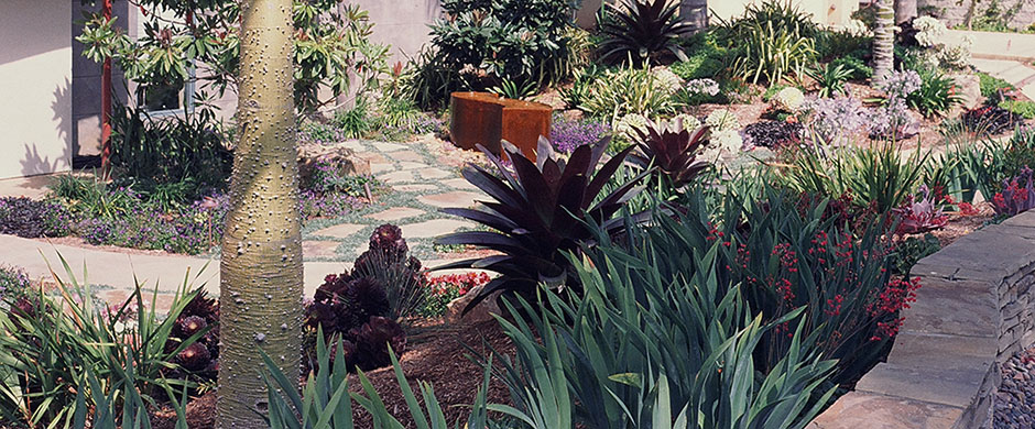 xeriscaped yard