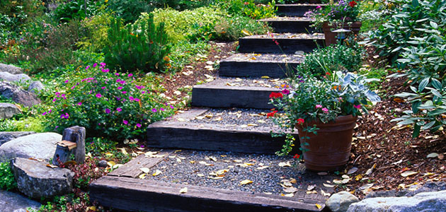 stairs with leaves