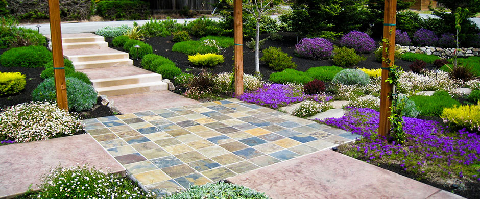 flowers with walkway
